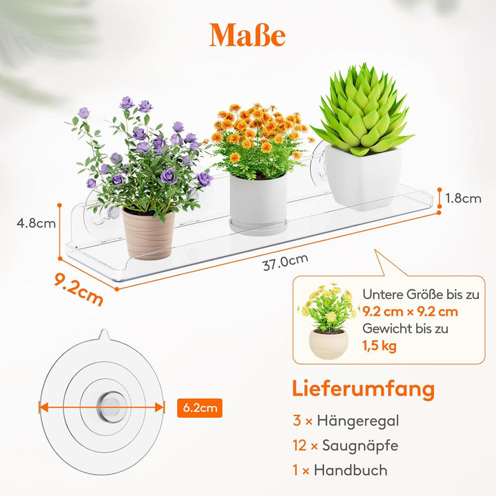 Lifewit Fenster Pflanzenregale, 3 Stück, 38cm, Transparent Regal Saugnapf, Fensterwand Pflanzenständ