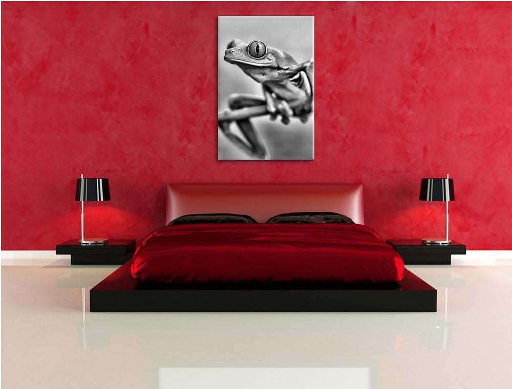 Pixxprint Grüner Frosch auf AST als Leinwandbild | Grösse: 100x70 cm | Wandbild | Kunstdruck | ferti