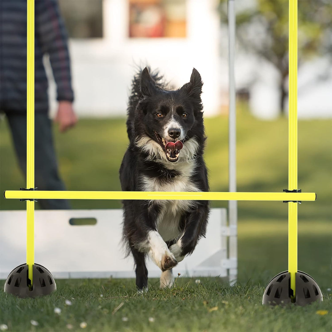HENGMEI Agility Grid Set Sprungstangen Set Hürdenset Trainingshilfe Training für Hürdenparcours und
