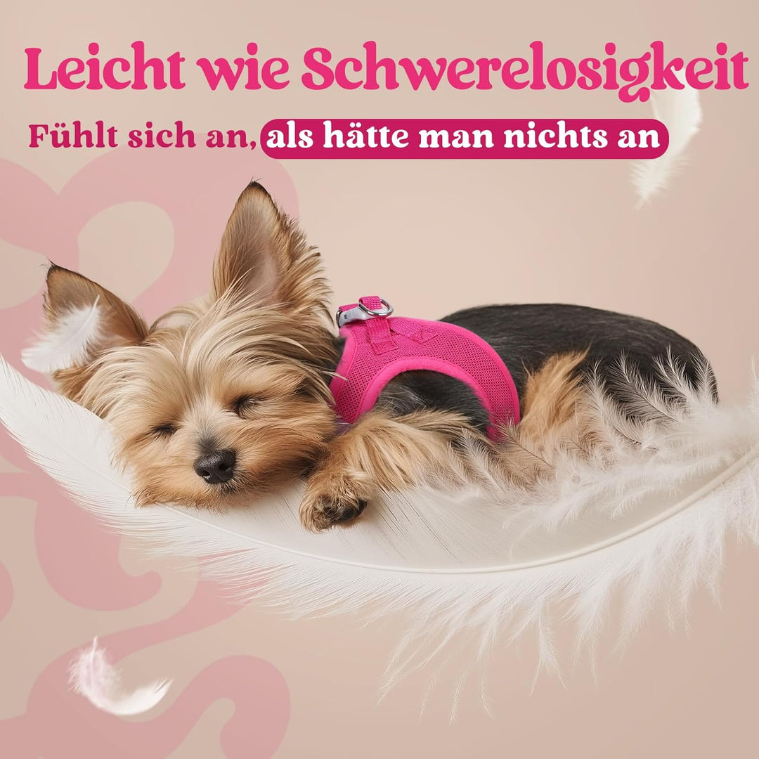 rabbitgoo Hundegeschirr Kleine Hunde, Step-in Welpengeschirr Weich Mesh für Spaziergänge, Atmungsakt