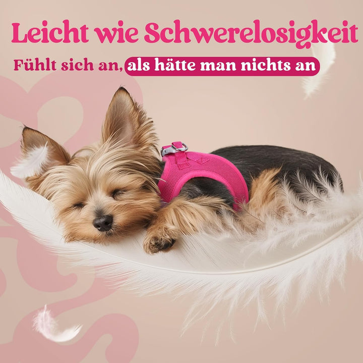 rabbitgoo Hundegeschirr Kleine Hunde, Step-in Welpengeschirr Weich Mesh für Spaziergänge, Atmungsakt
