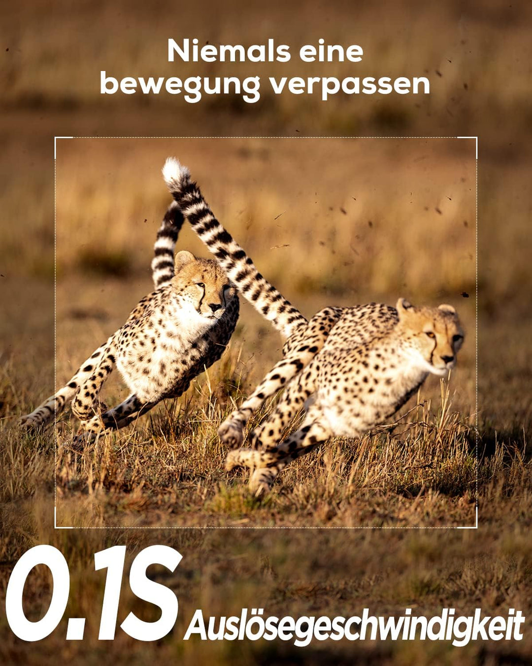 iZEEKER Wildkamera WLAN Duales Objektiv 4K 30fps 60MP, Wildtierkamera mit Sternenlicht Nachtsicht Be