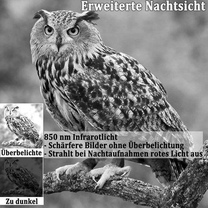 Wildkamera 50MP 4K, Wildtierkamera mit Nachtsicht Bewegungsmelder Weitwinkel 120°, 850nm IR LEDs Nac