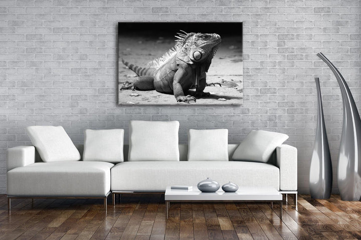deyoli edler grüner Leguan Format: 80x60 Effekt: Schwarz/Weiss als Leinwand, Motiv fertig gerahmt au