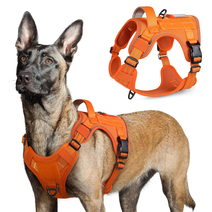 rabbitgoo Hundegeschirr Grosse Hunde, Anti Zug Geschirr Hund Verstellbar mit Griffe Verbreitert, Rob