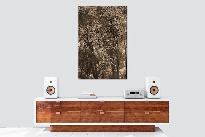 herbstliche Farben in der Natur Effekt: Sepia, Format: 80x60 als Leinwandbild, Motiv fertig gerahmt