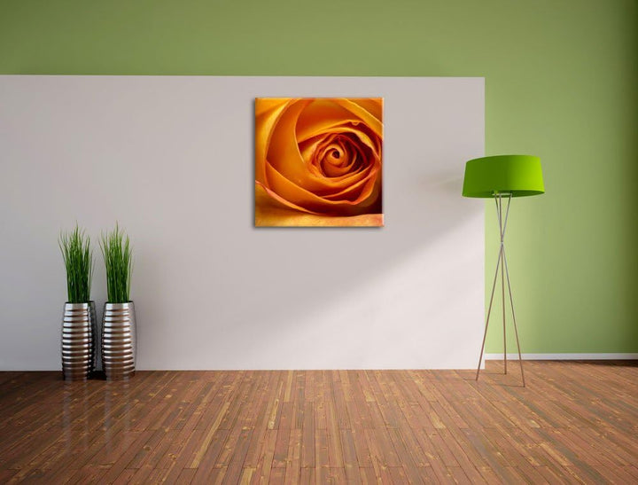 Pixxprint Anmutige gelbe geschlossene Rose, Format: 70x70 auf Leinwand, 70x70