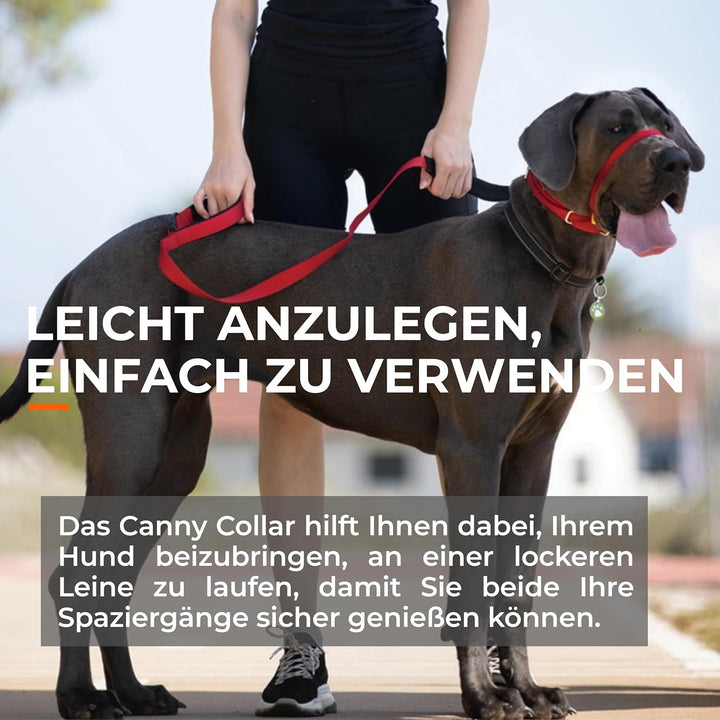 Canny Dog Collar Black Grösse 6 Schwarz Grösse 6 - Halsumfang 48-53cm, Schwarz Grösse 6 - Halsumfang