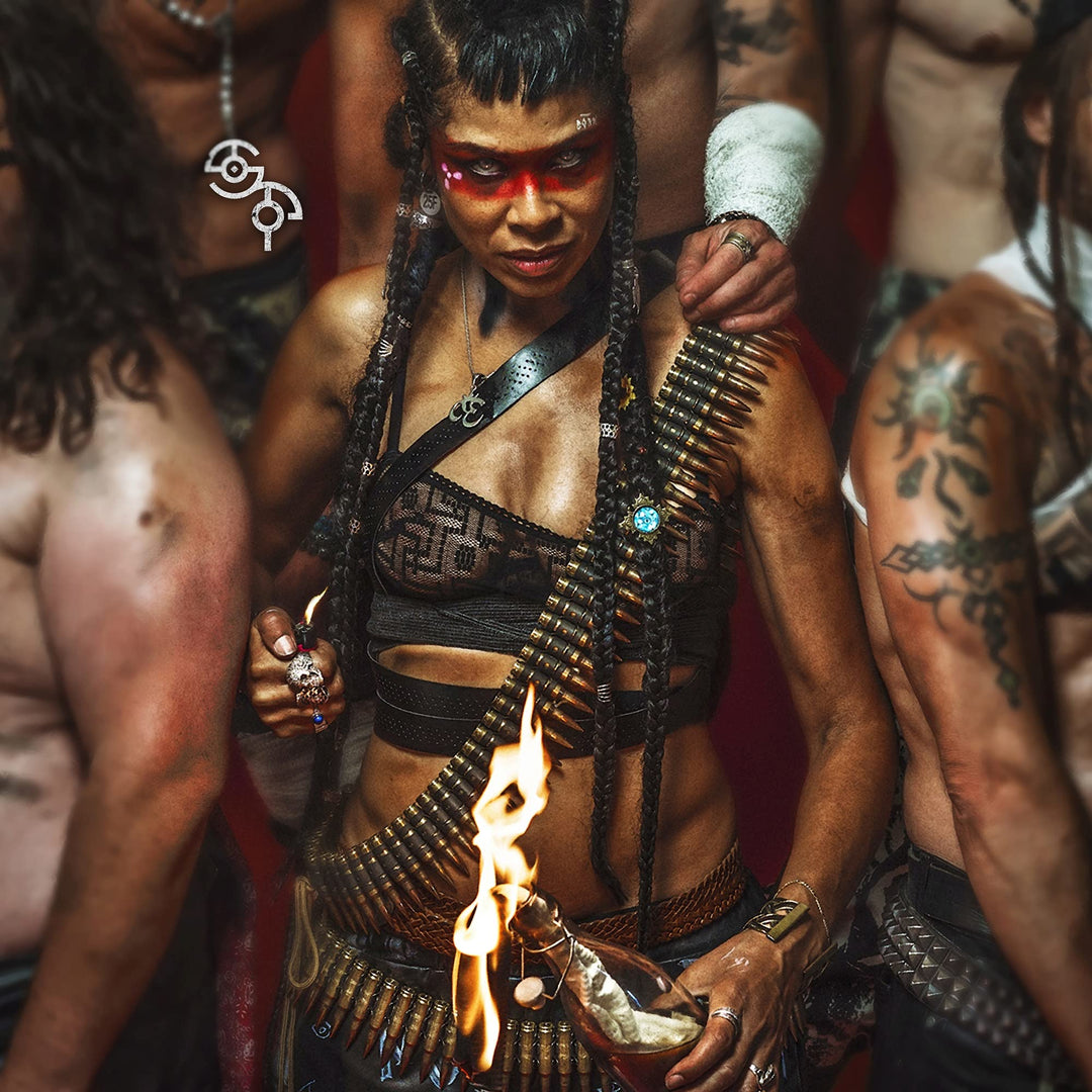 Shaka Ponk, Vinyl
