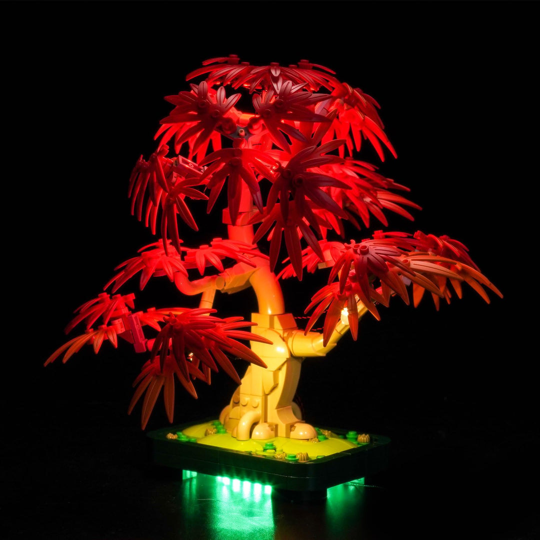 Version mit Lichtsteuerung Licht-Kit Kompatibel mit Lego 10348 Japanese Red Maple Bonsai Tree (Nicht
