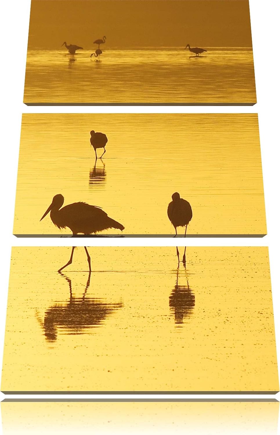 Pixxprint Störche im Wasser als Leinwandbild/Grösse: 3 Teilig (120x80) cm/Wandbild/Kunstdruck/fertig