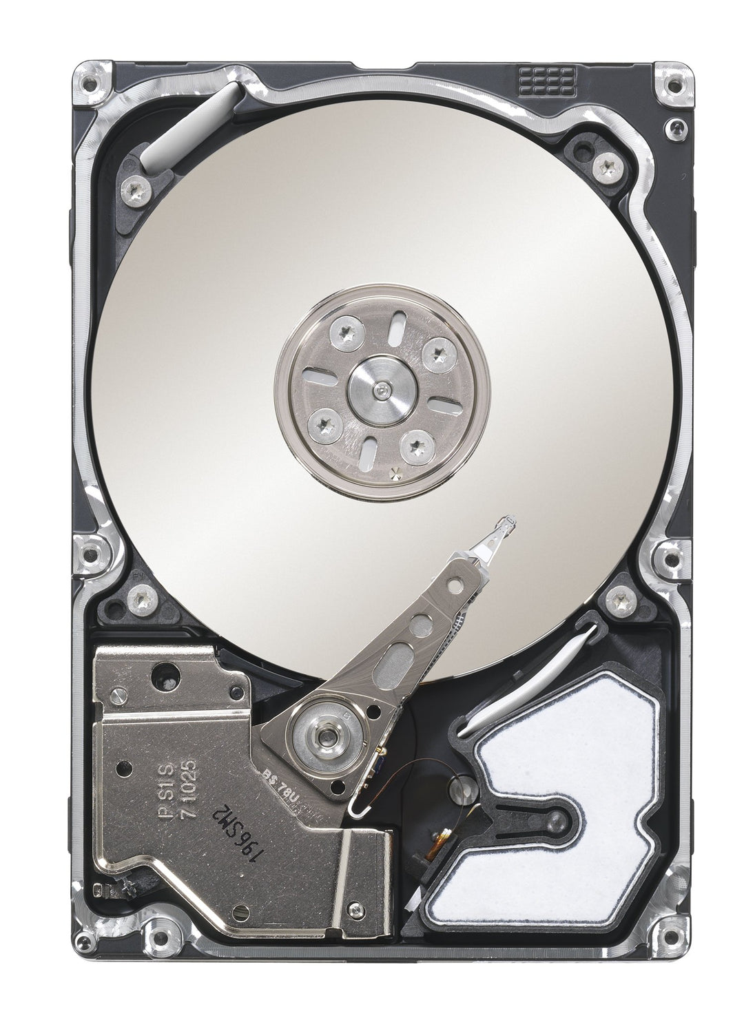 Seagate ST9146803SS SAVVIO 146,8 GB interne