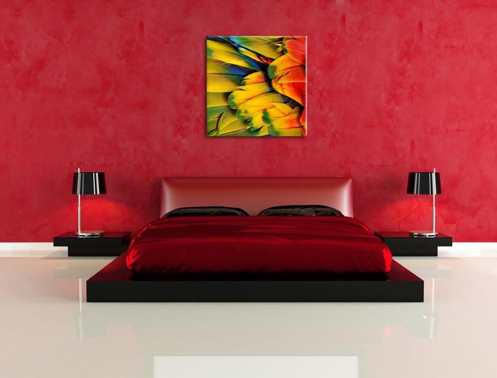Bunte Papageienfedern, Format: 70x70 auf Leinwand, XXL riesige Bilder fertig gerahmt mit Keilrahmen,