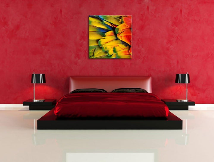 Bunte Papageienfedern, Format: 70x70 auf Leinwand, XXL riesige Bilder fertig gerahmt mit Keilrahmen,