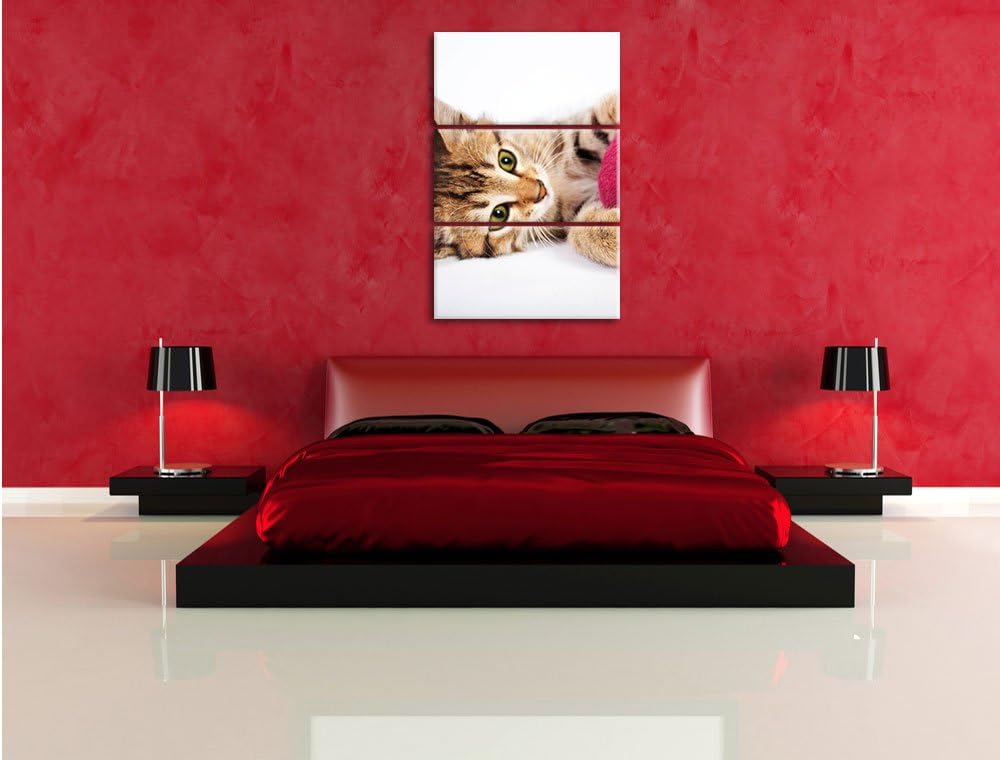Pixxprint Kätzchen mit Wollknäuel als Leinwandbild/Grösse: 3 Teilig (120x80) cm/Wandbild/Kunstdruck/