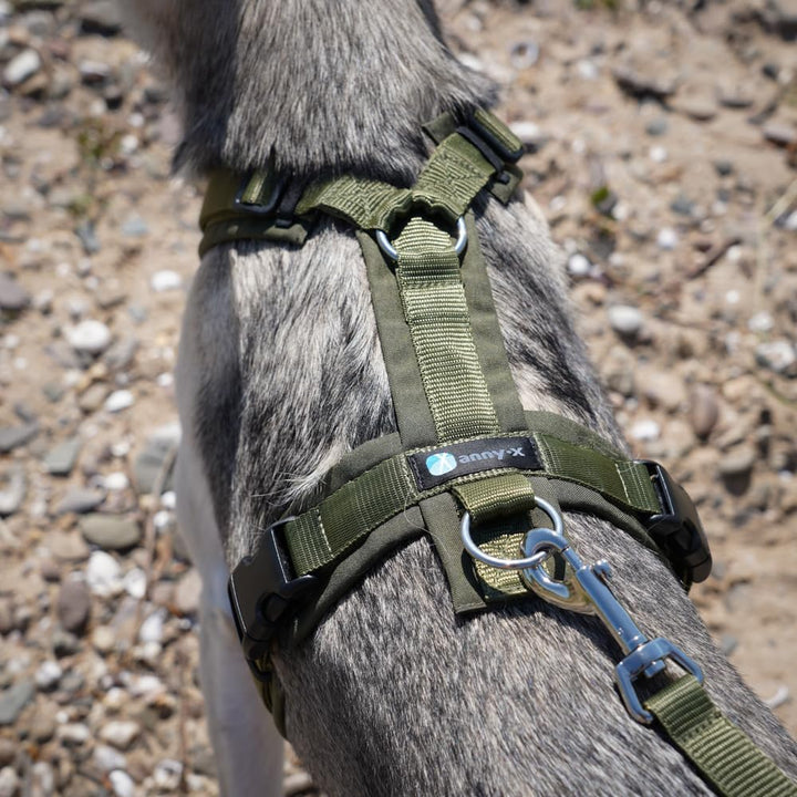Anny-X Brustgeschirr Fun Oliv-Oliv | Hundegeschirr Grösse XS-Kurz (Brustumfang 43-52 cm) Extra Small