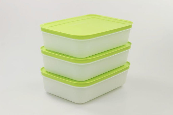 TUPPERWARE Gefrier-Behälter (3) Eis-Kristall Eiskristall 1,0 L grün-weiss flach 29739