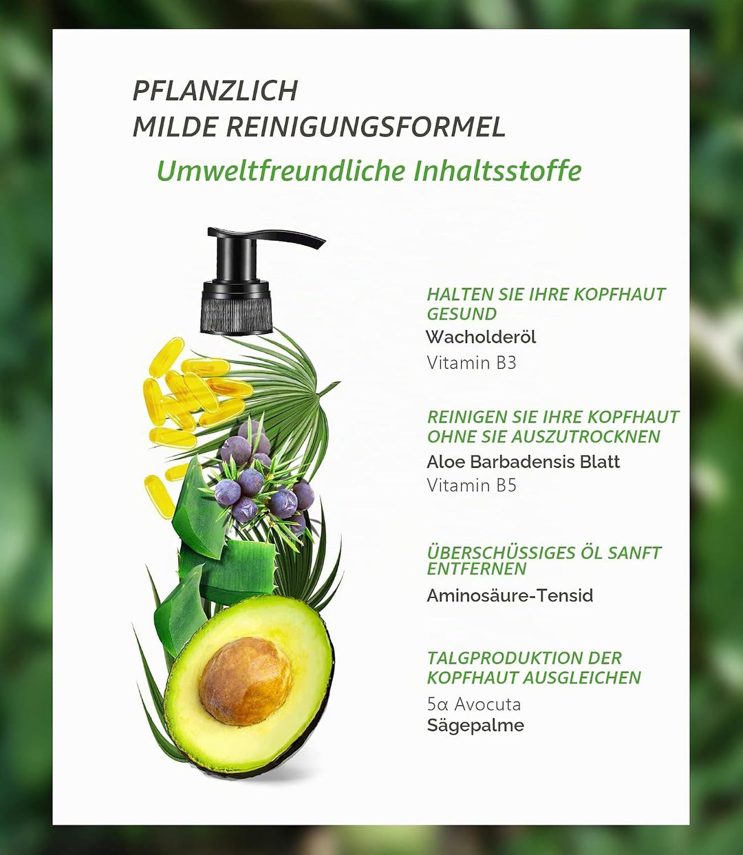 AROMASE Anti-Oil Essential Shampoo - Effektiv bei schnell fettendem Haar &amp; fettiger Kopfhaut, reguli