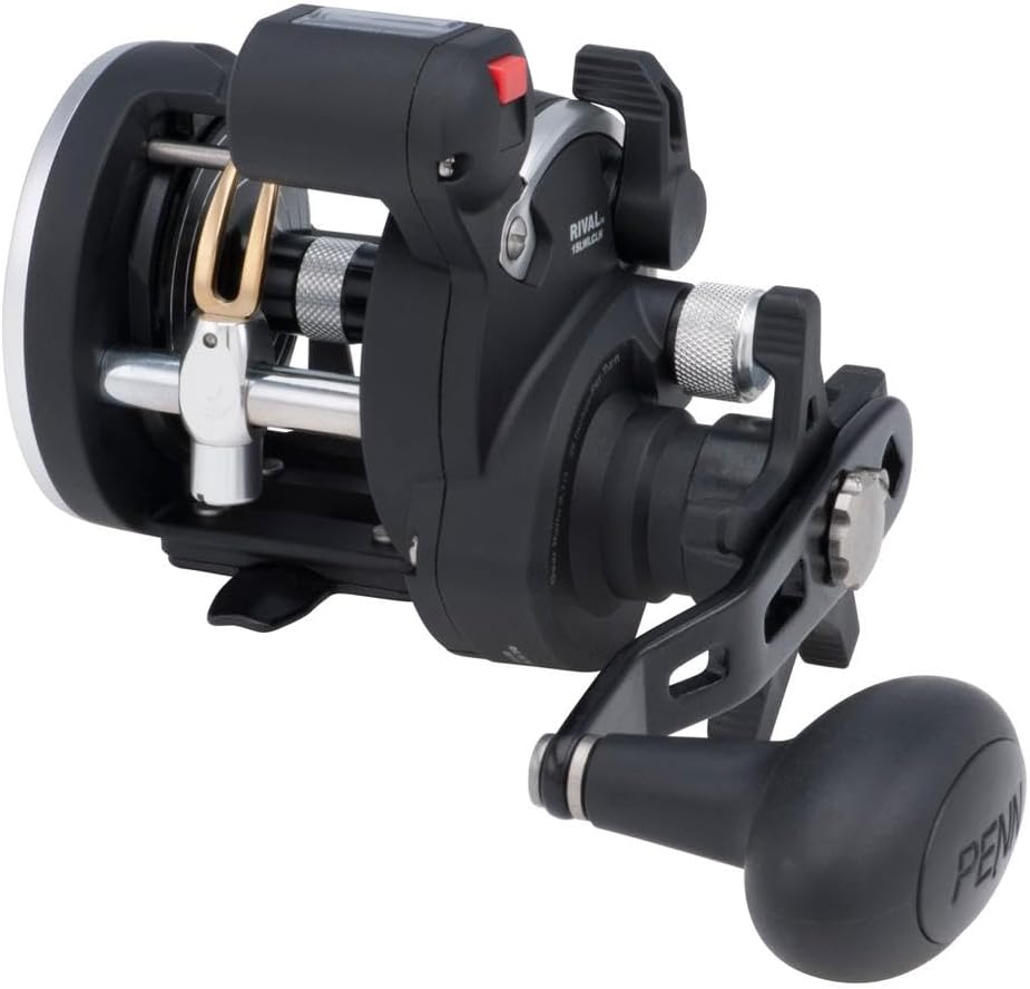 PENN Rival Level Wind Multirolle für Boote und Kajaks – Hochleistungs-Salzwasserrolle für Dorsch, Ba