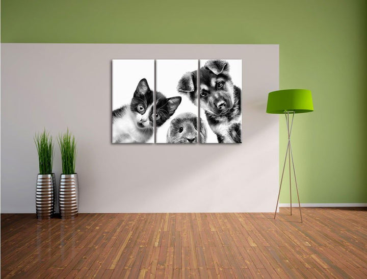 Pixxprint Trio Hund Katze Meerschwein als Leinwandbild/Grösse: 3 Teilig (120x80) cm/Wandbild/Kunstdr