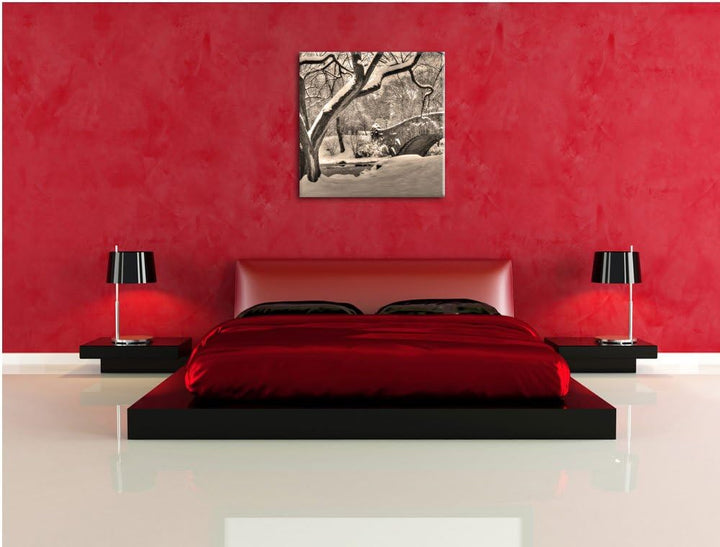 Pixxprint Central Park New York Schwarz/Weiss, Format: 70x70 auf Leinwand, 70x70