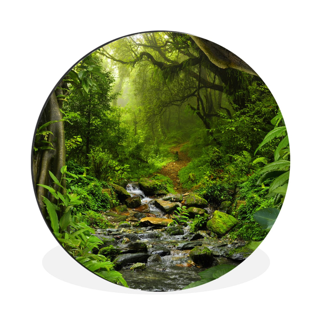 MuchoWow Wandbild Rund Wanddeko Deko Wohnzimmer Bilder 90x90 cm Natur - Wasser - Dschungel - Wald -