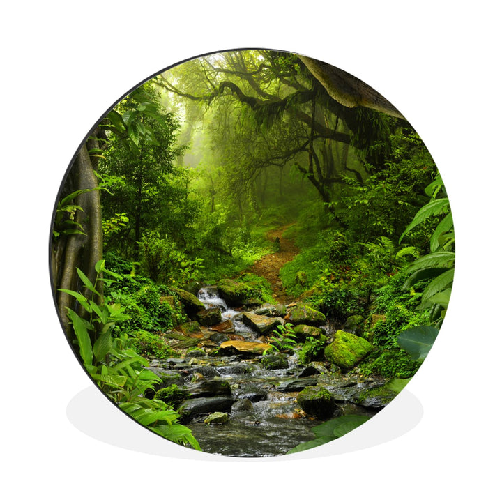 MuchoWow Wandbild Rund Wanddeko Deko Wohnzimmer Bilder 90x90 cm Natur - Wasser - Dschungel - Wald -
