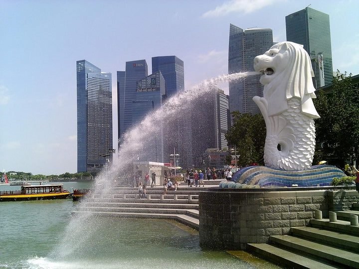 myFirst Kinder Full HD 16MP Kamera HD Digitalkamera Frontkamera und Selfie Objektiv Digital Video Ka