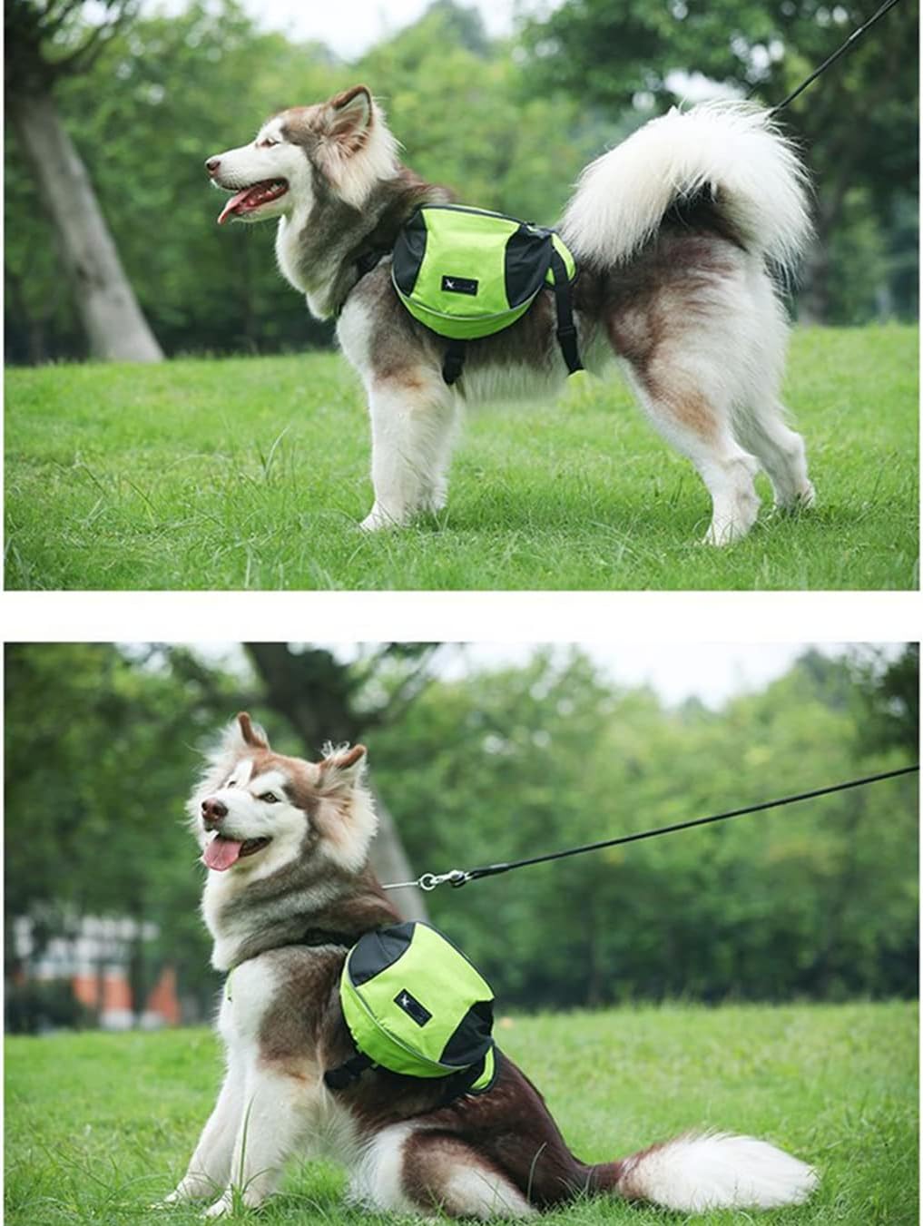 Satteltasche Hunderucksack für Mittlere Grosse Hunde, Packtaschen Rucksack für Reisen Wandern Traini