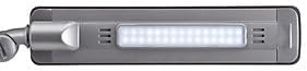 Maul LED-Tischleuchte Maulpure | Schreibtischlampe dimmbar | Tageslichtlampe für Büro mit USB zum Au
