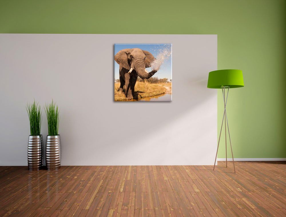 Pixxprint schöner Elefant spritzt mit Wasser als Leinwandbild/Grösse: 70x70 cm/Wandbild/Kunstdruck/f