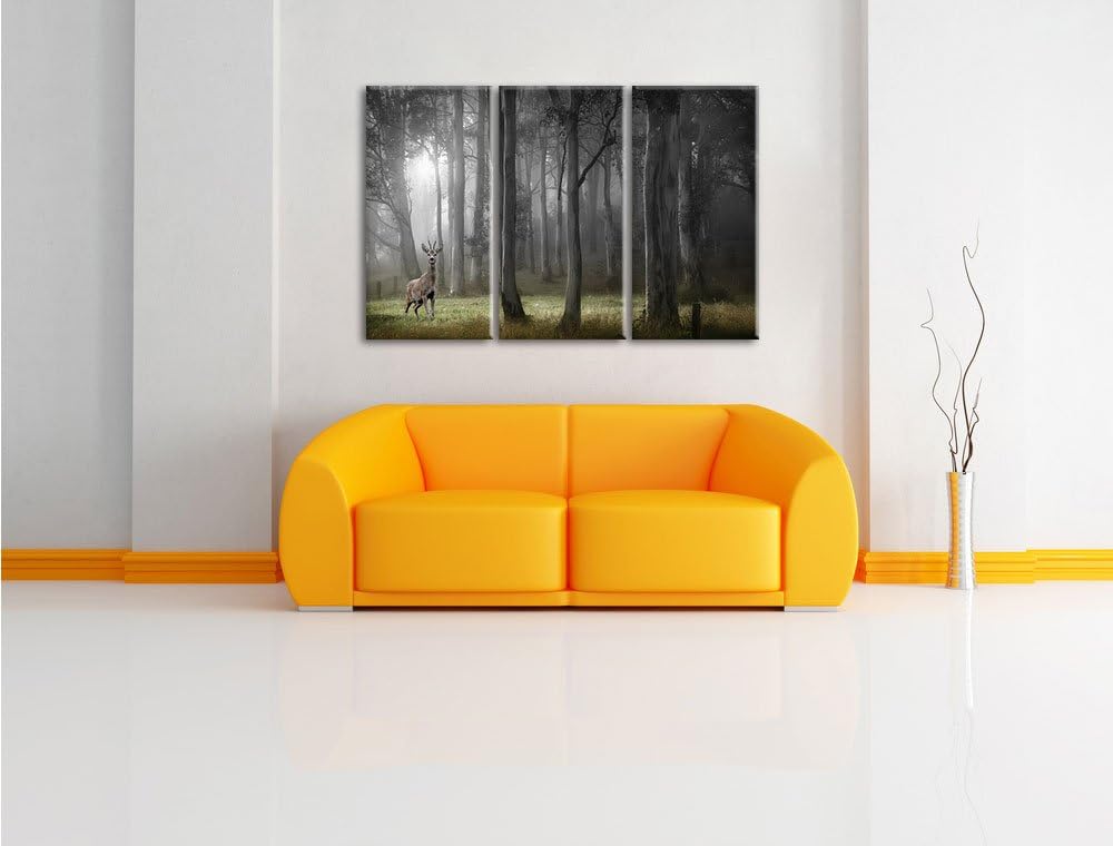 Pixxprint Einsamer Hirsch im tiefen Wald B&W Detail 3-Teiler Leinwandbild 120x80 Bild auf Leinwand