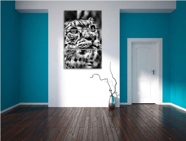 Pixxprint Leopard als Leinwandbild/Grösse: 3 Teilig (120x80) cm/Wandbild/Kunstdruck/fertig bespannt