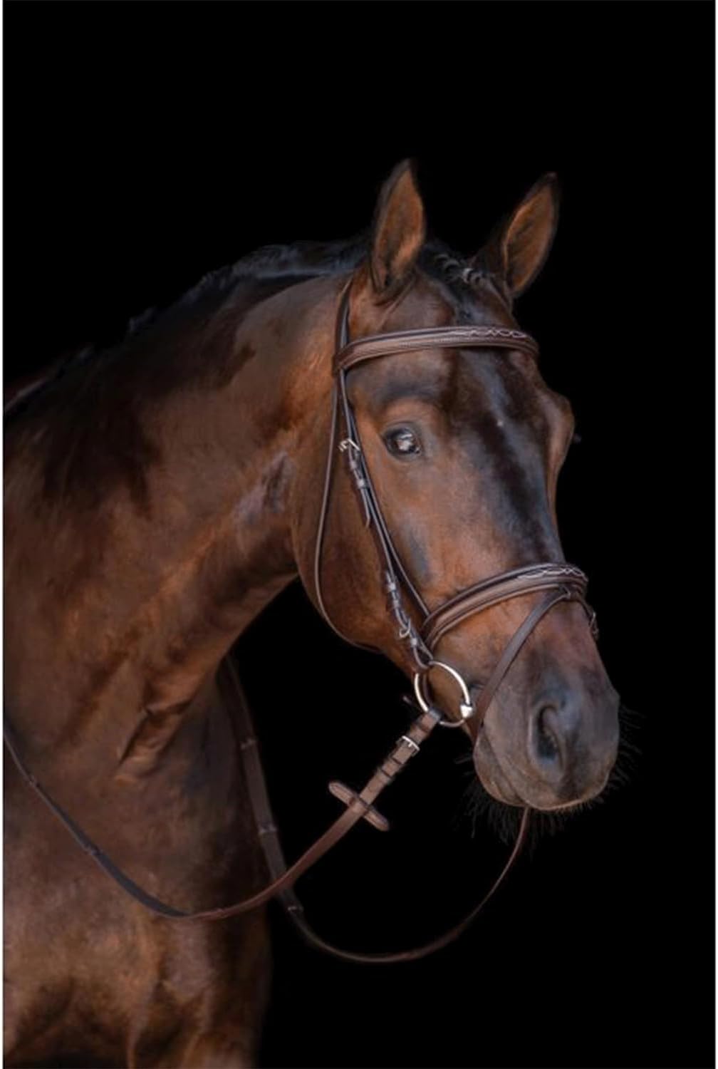 HKM 10892400.0622 Reittrense, Jana Pony, Pony
