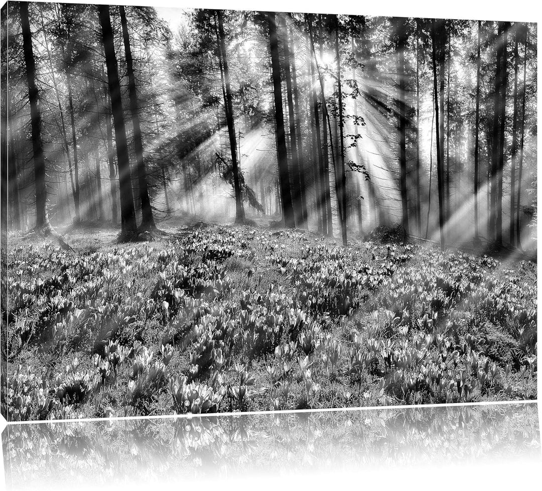 Pixxprint Lavendel im Wald / 100x70cm Leinwandbild bespannt auf Holzrahmen/Wandbild Kunstdruck Dekor