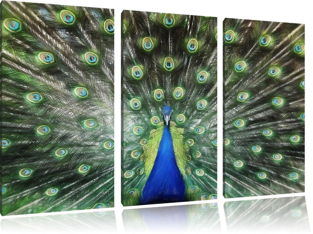 Pixxprint Schöner Pfau mit seinem Gefieder Kunst Buntstift Effekt 3-Teiler Leinwandbild 120x80 Bild