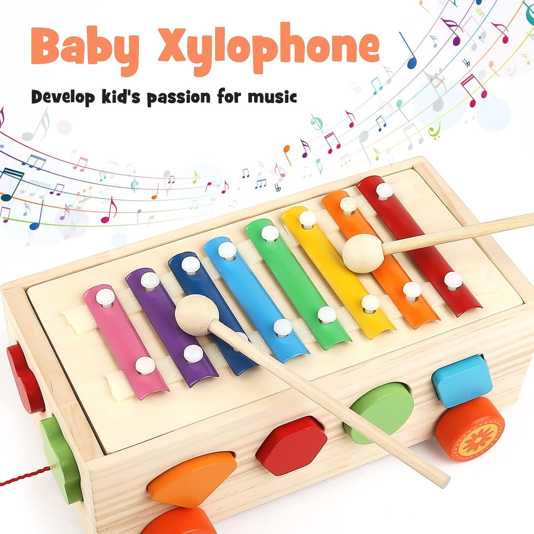 Vanplay Kinderspielzeug Montessori Spielzeug Holzspielzeug Xylophon Motorikspielzeug Bauklötze Baby