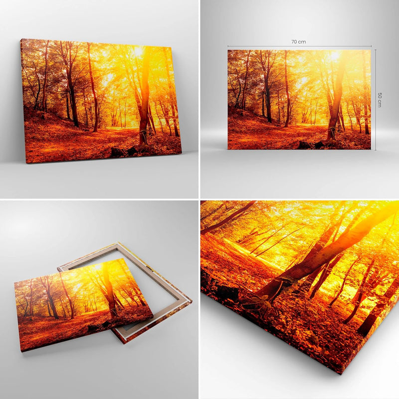 Bilder auf Leinwand Wald Baum Natur Leinwandbild mit Rahmen 70x50cm Wandbilder Dekoration Wohnzimmer