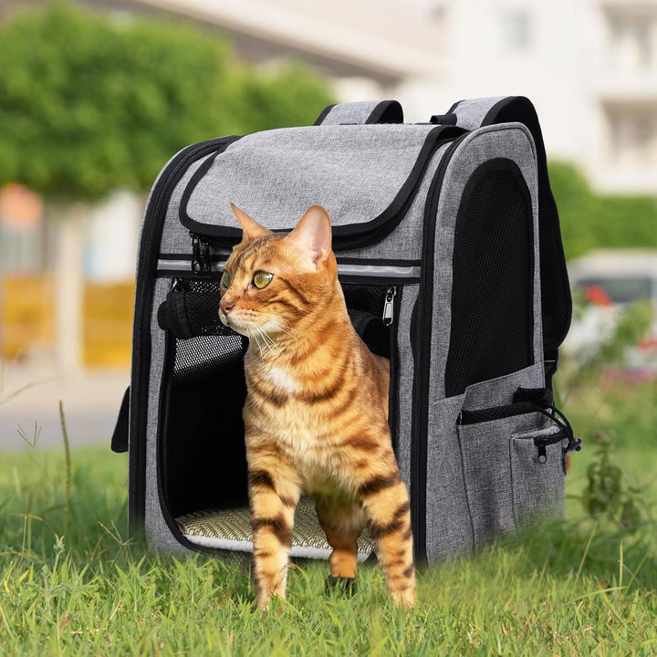 Hunderucksack Erweiterbar - Hunderucksack Bis 8kg, Faltbare Katzen Rucksack für Katzen Hunde mit Inn