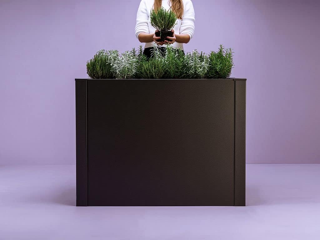 deinbeet Design-Hochbeet aus Aluminium-Metall, 100x60 cm und 100x100 cm, 8 Farben, Made in Germany (