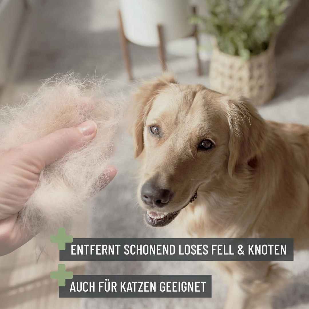 TESTURTEIL SEHR GUT 05/24 ReaVET Hundebürste, Katzenbürste, Zupfbürste für Langhaar Hunde & Katzen I