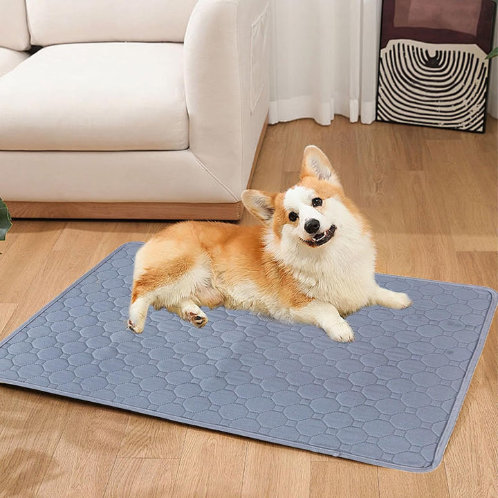 4 Stück Welpenunterlagen Waschbar, 60 × 45cm Wiederverwendbare PIPI Matten Hundedecke Wasserdicht ru