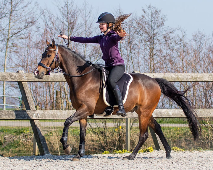 QHP Bareback Pad Sattelkissen, Grösse:WB, Farbe:schwarz Plein Schwarz, Plein Schwarz