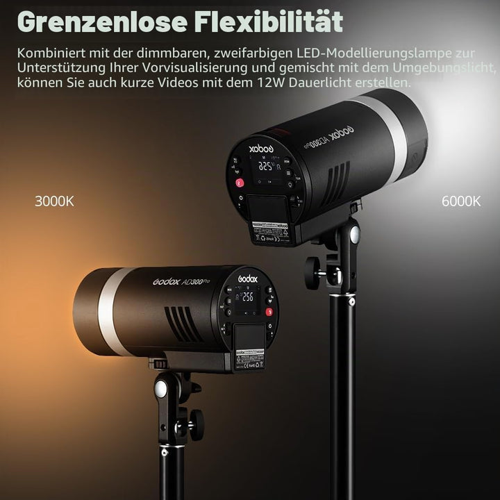 Godox AD300Pro AD300 PRO Rucksack-Kit mit Zwei Blitzen 300W 2,4 G TTL 1/8000 HSS, 0,01-1,5 Sek. Recy