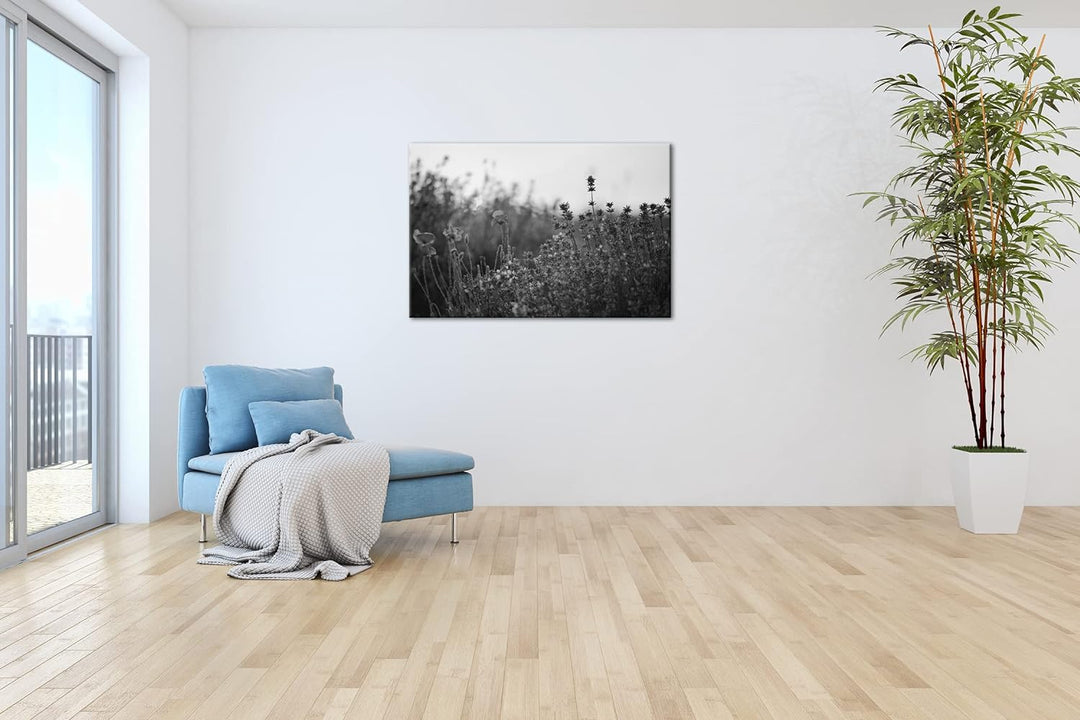 deyoli blühender Lavendel und Mohn Effekt: Schwarz&Weiss Format: 60x40 als Leinwandbild, Motiv ferti