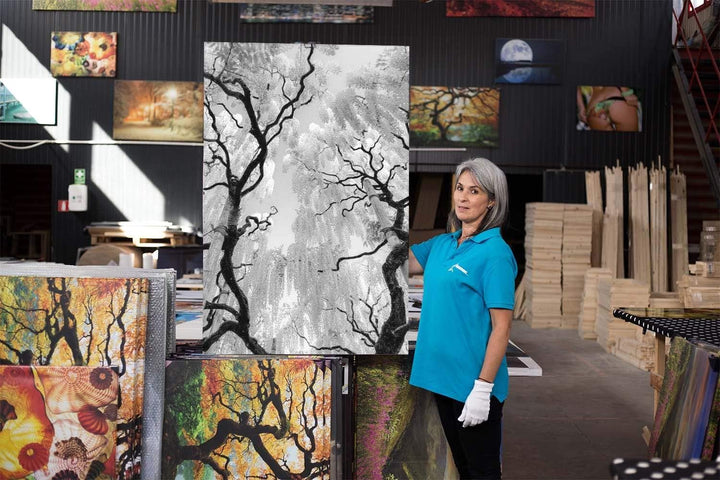 Startonight Leinwandbilder Schwarz und Weiss Bäume, Doppelansicht Überraschung Modernes Dekor Kunstw