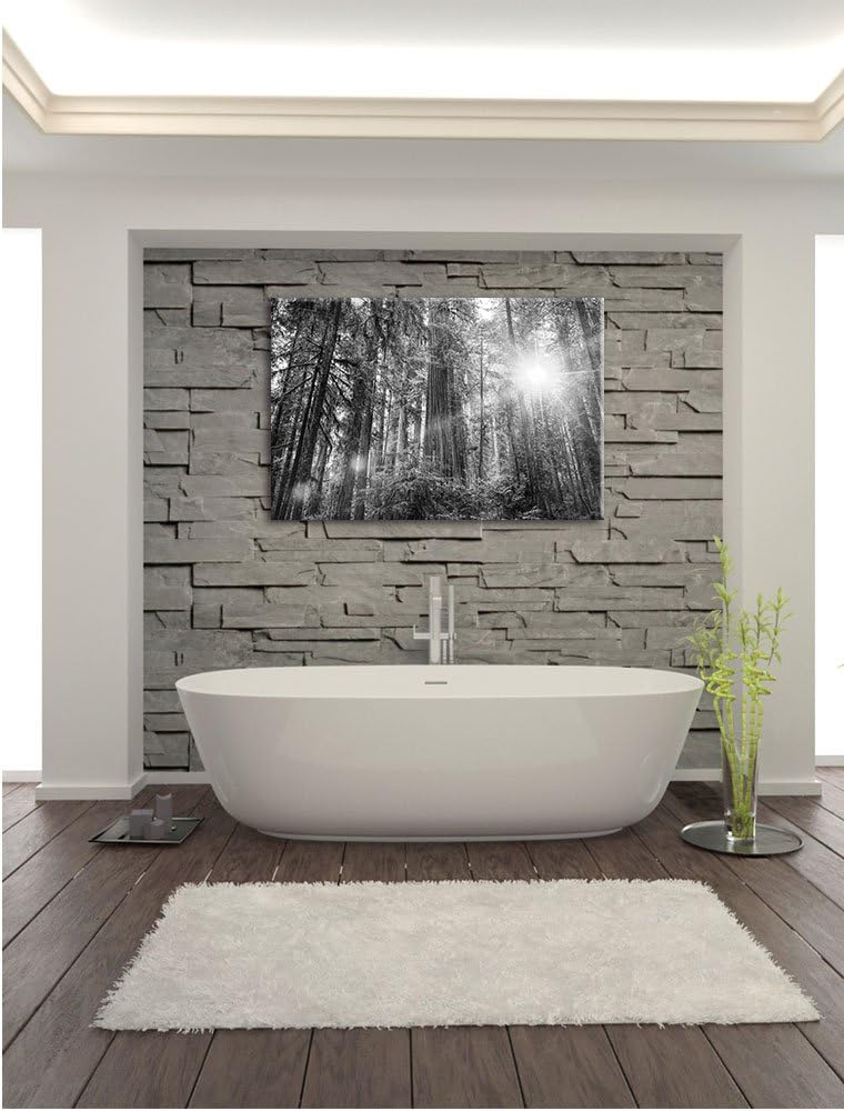 Pixxprint Wald bei Sonnenlicht als Leinwandbild/Grösse: 100x70 / Wandbild/Kunstdruck/fertig bespannt