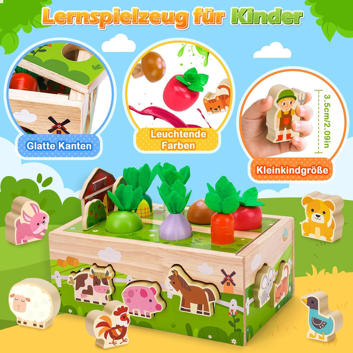 Montessori Spielzeug ab 1 2 Jahr: Kinderspielzeug ab 1 Jahre Motorik Holzspielzeug für 1 2 3 jährige