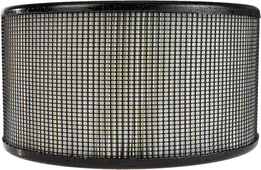 Honeywell CP170-hep HEPA Filter für Modell HA170E