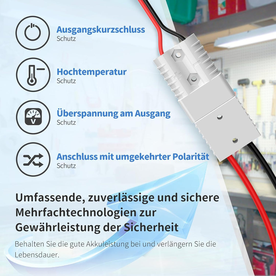 Redodo LiFePO4 100Ah 12,8V Batterie mit LiFePO4 Ladegerät 14,6V 20A, 5 Std. Schnelles Aufladen 100A